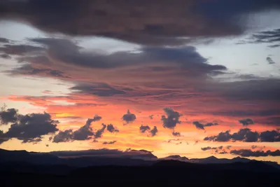 DSC_3330 (Large).JPG